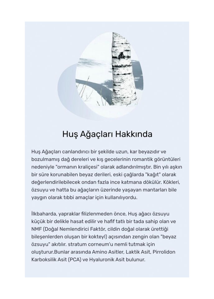 Round Lab Birch Juice Moisturizing Sunscreen Nemlendirici, Aydınlatıcı Güneş Kremi 50 ml