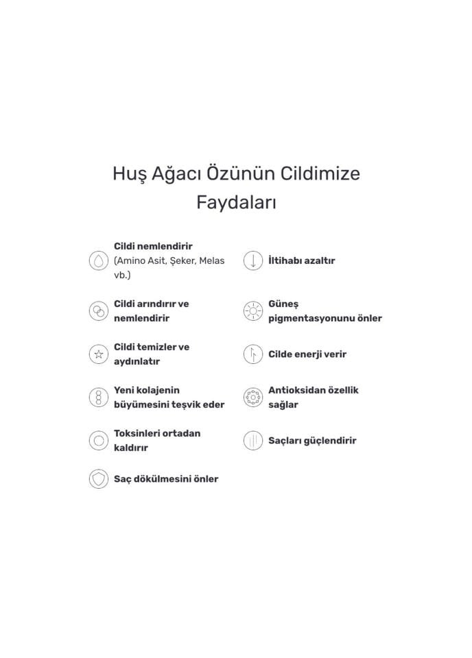 Round Lab Birch Juice Moisturizing Sunscreen Nemlendirici, Aydınlatıcı Güneş Kremi 50 ml
